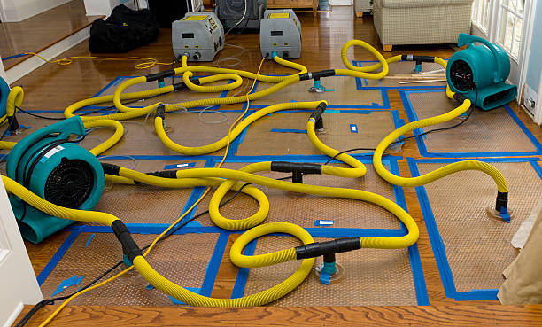 Professional Basement Flood Cleanup technician working in Ellison Bay, WI